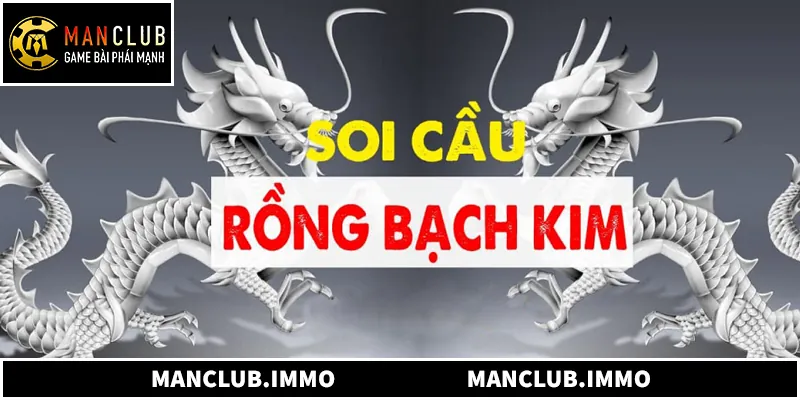 Dàn Đề Rồng Bạch Kim Là Gì Và Cách Hiểu Chuẩn Xác Dàn Đề Rồng Bạch Kim Là Gì Và Cách Hiểu Chuẩn Xác